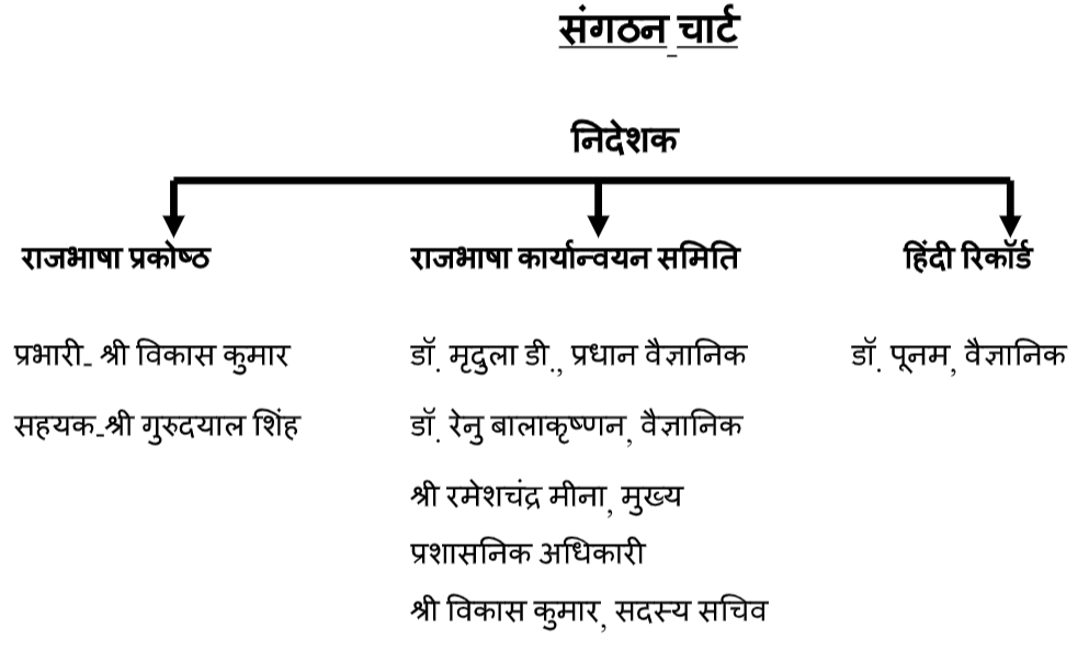 संगठन चार्ट की छवि