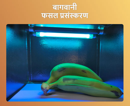 बागवानी फसल प्रसंस्करण की छवि