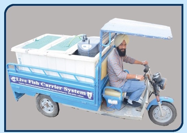 Live fish carrier system