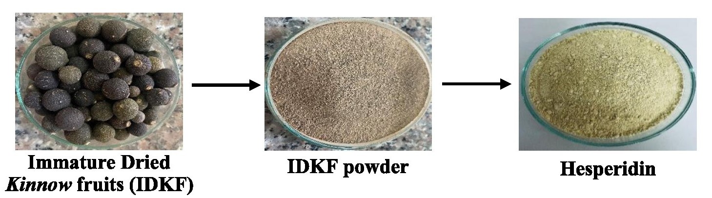 Process Technology to Extract Hesperidin from Immature Dropped Kinnow Fruit